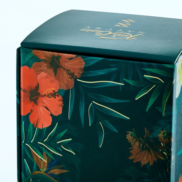 武蔵屋通販 | ケンズチョイス ネイチャーカクレクマノミ オキナワ