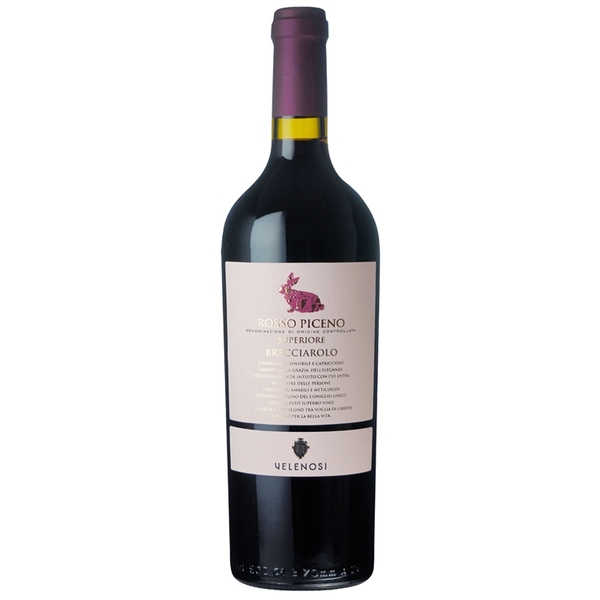 サッシカイア 2020 750ml SASSICAIA サッシカイア 2020 750ml SASSICAIA Sassicaia 2020 サッシカイア