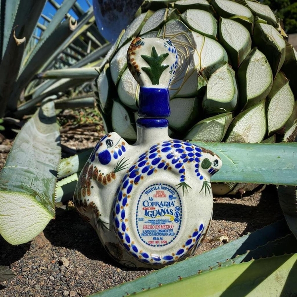 武蔵屋通販 | ラ コフラディア イグアナス レポサド