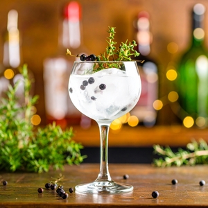 未開栓　フルーティーな　プレミアム　ジン　3本セット 武蔵屋通販 | ジン